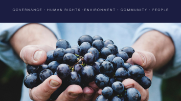 Sustainability